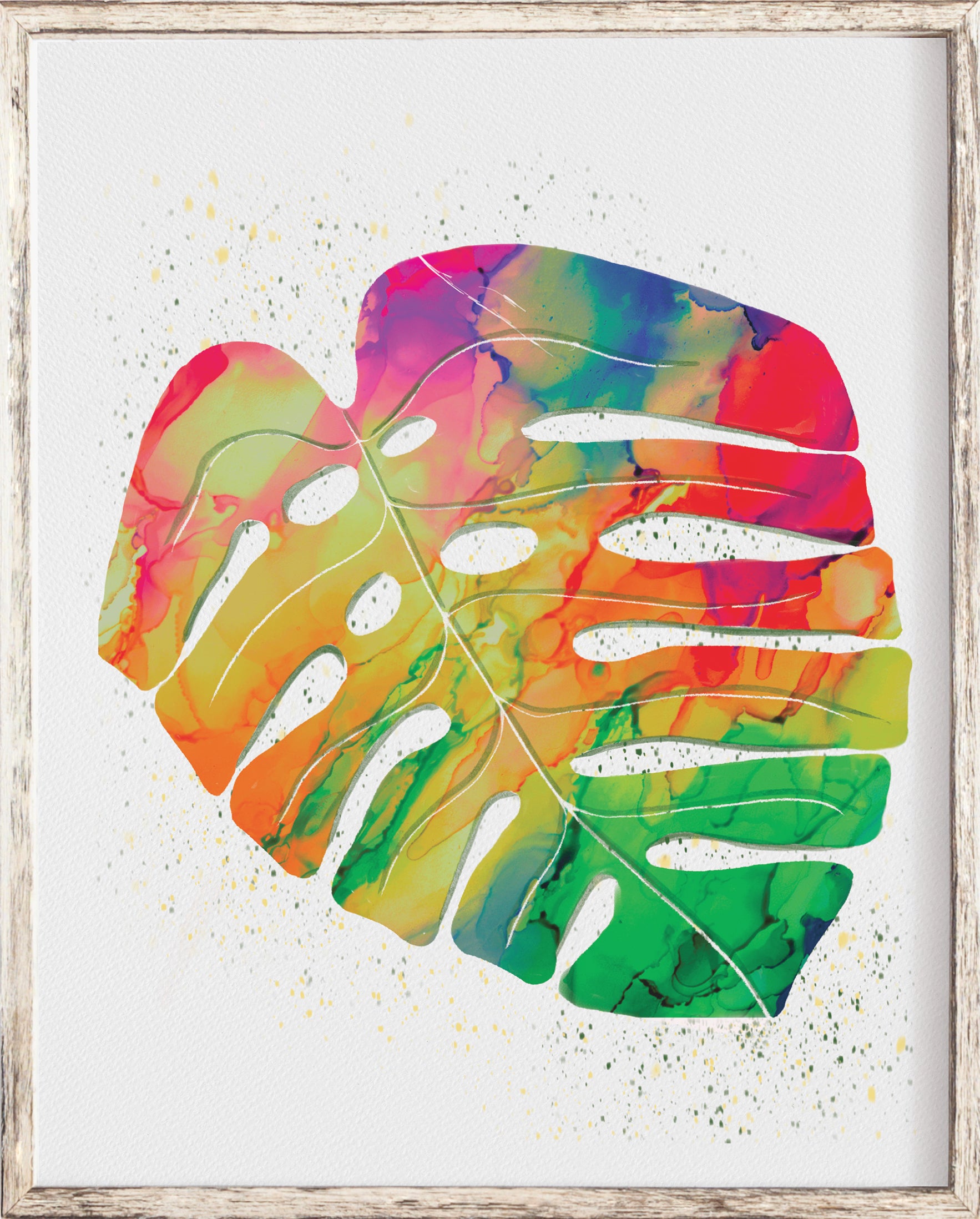 monstera coloring Monstera Deliciosa Colors – Julia Frost