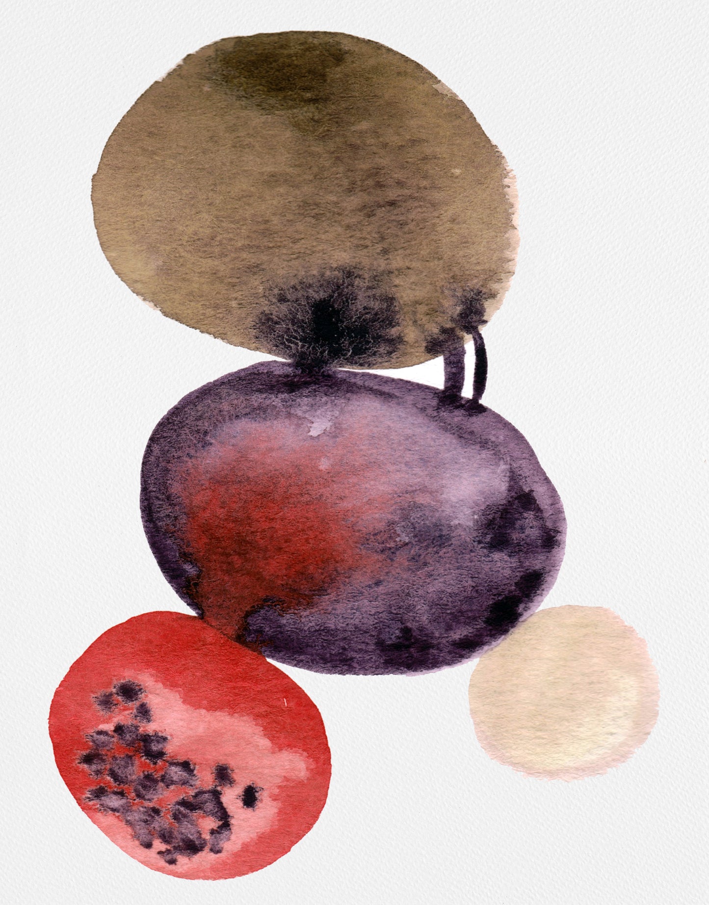 Terracota Circles