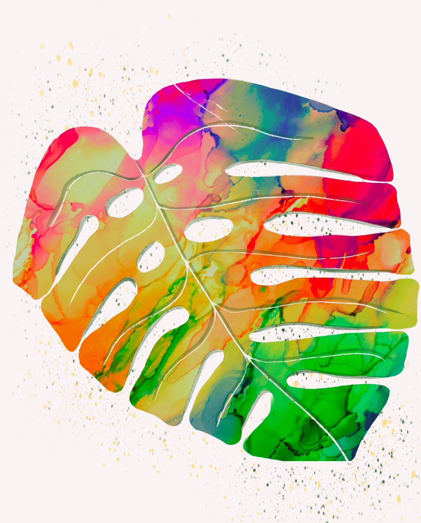 Monstera Deliciosa Colors