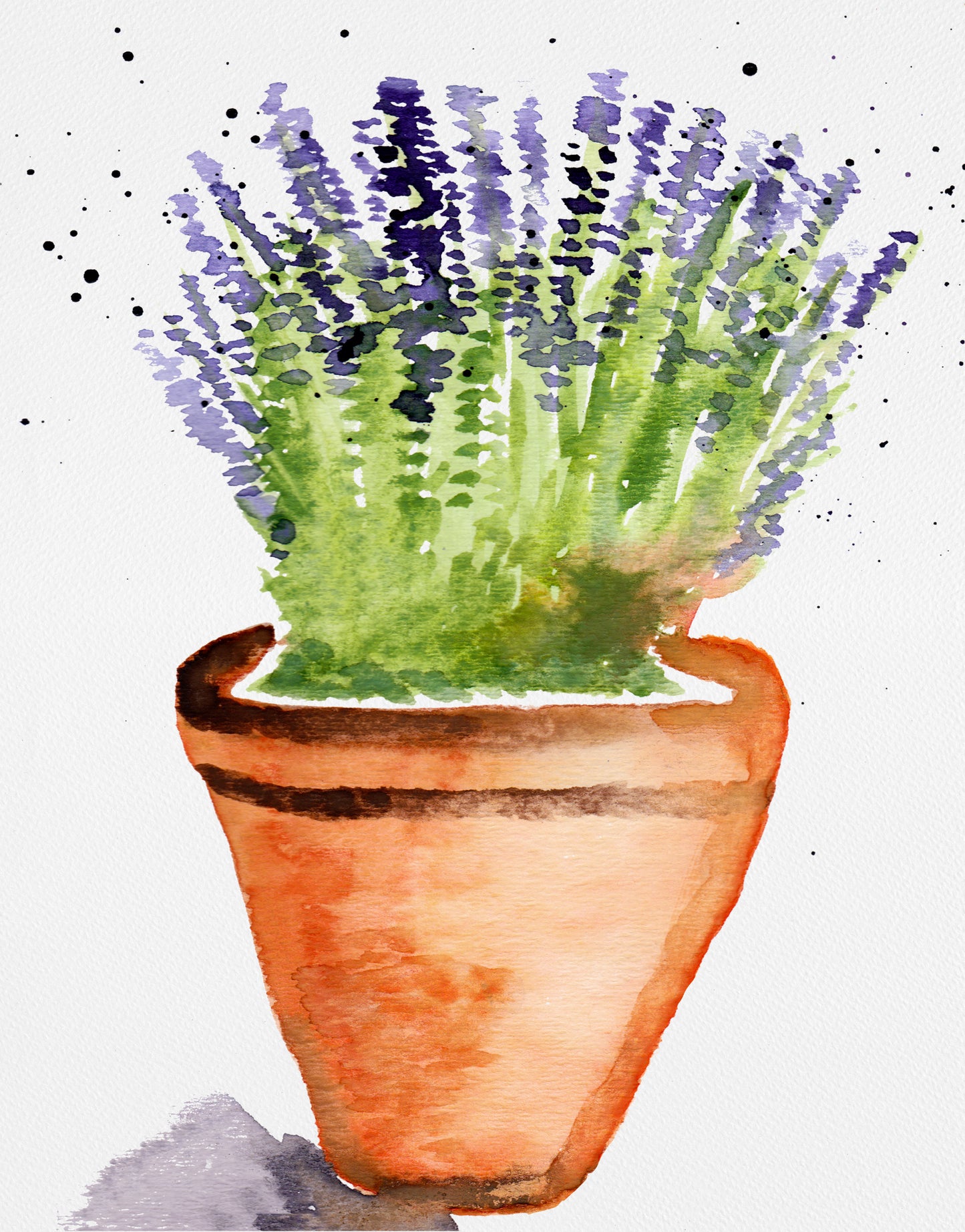 Lavender Vase